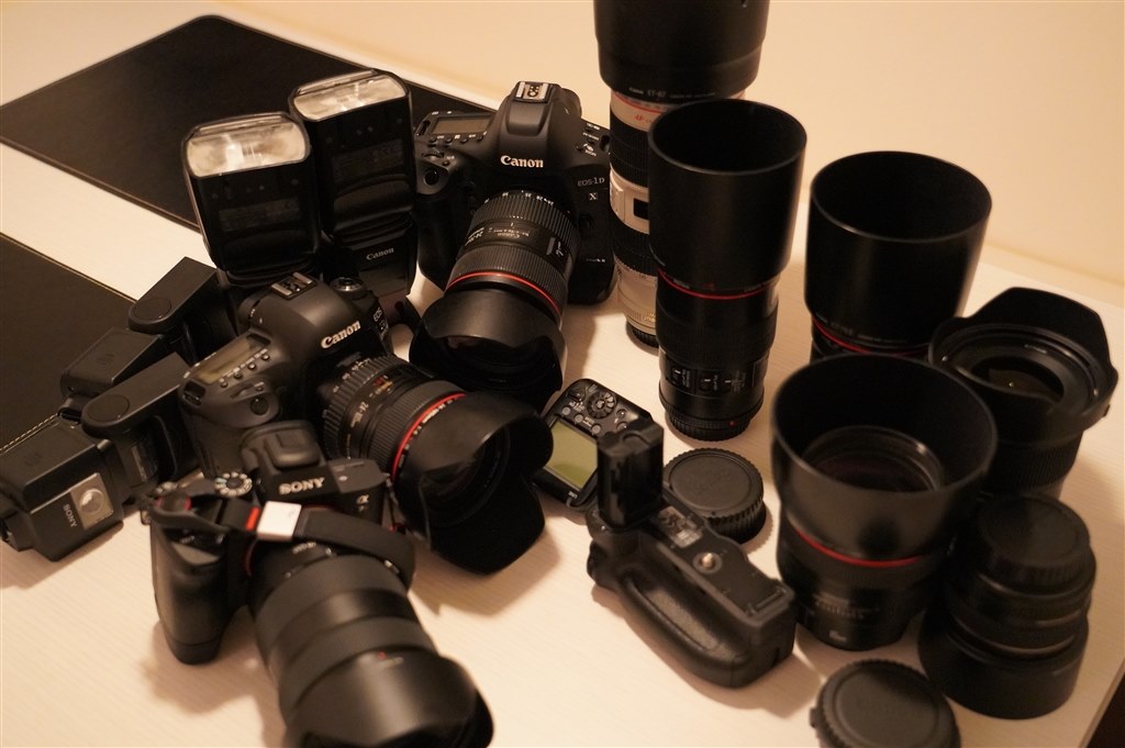一旦canonを離れます。DPCMOSの色が苦手』 CANON EOS-1D X Mark II