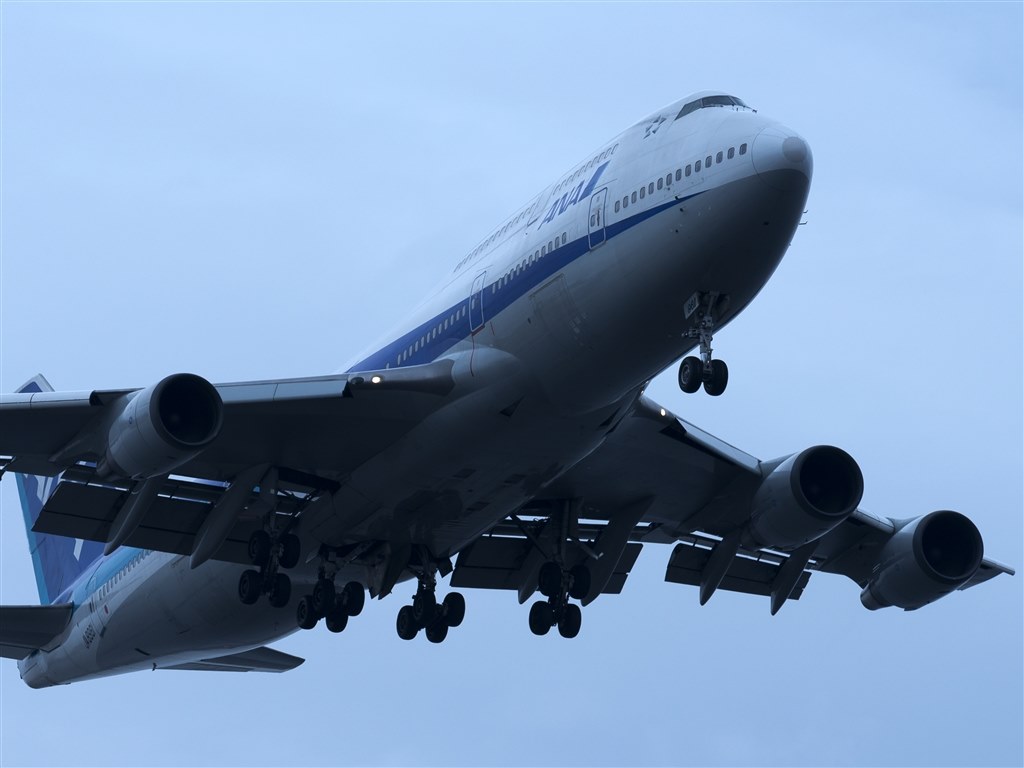 ❤即購入1000円OFF❤ソニー SONY α57 レア 500mm 望遠レンズ Amazon.co.jp: ソニー_2024_Autumn_Camera: 家電＆カメラ