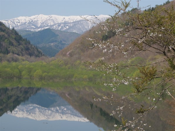 オリンパス ズイコーデジタル ED 18-180mm F3.5-6.3 レビュー オリンパス ズイコーデジタル ED 18-180mm F3.5-6.3 レビュー