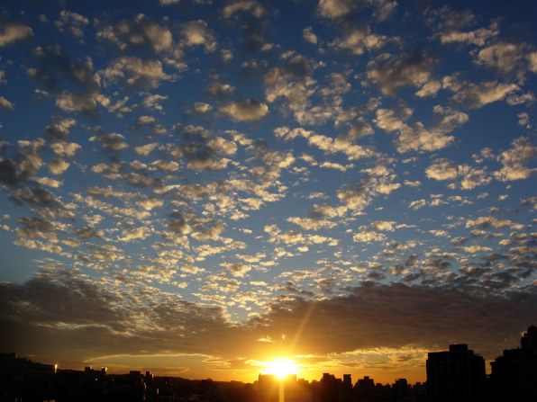 Nikon COOLPIX 5200 コンパクトデジタルカメラ 撮影写真あり Amazon | Nikon Coolpix 5200 5 MPデジタルカメラwith 3 x光学ズーム