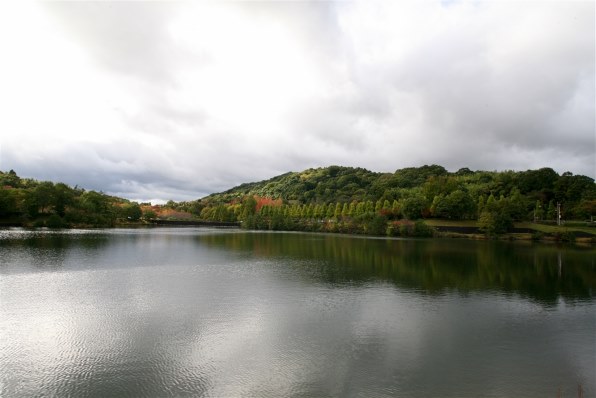 CANON EF20-35mm F3.5-4.5 USM投稿画像・動画 - 価格.com