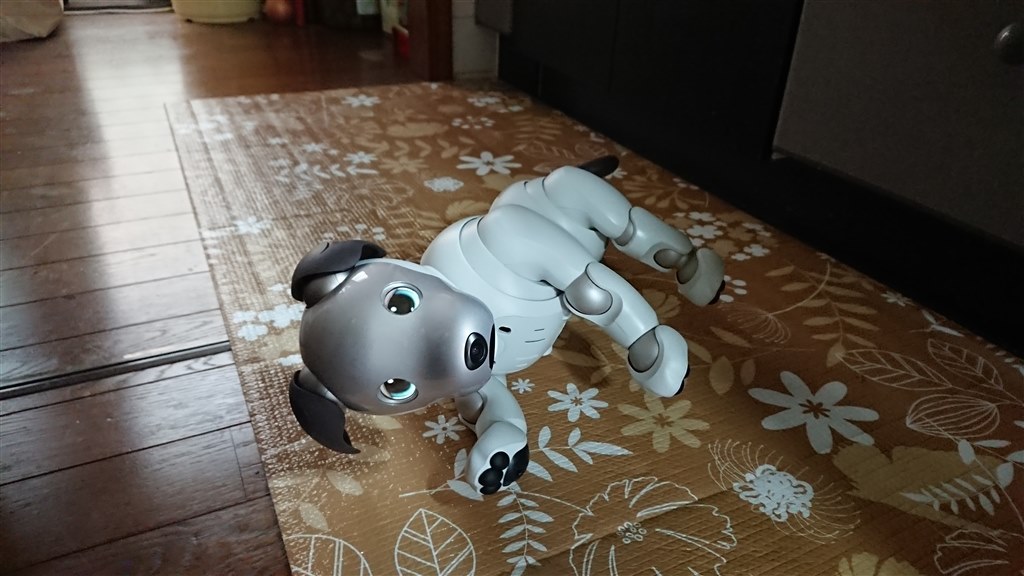 本物の犬とはかけ離れてますが Sony Aibo Ers 1000 Ivory White まゆげママさんのレビュー評価 評判 価格 Com