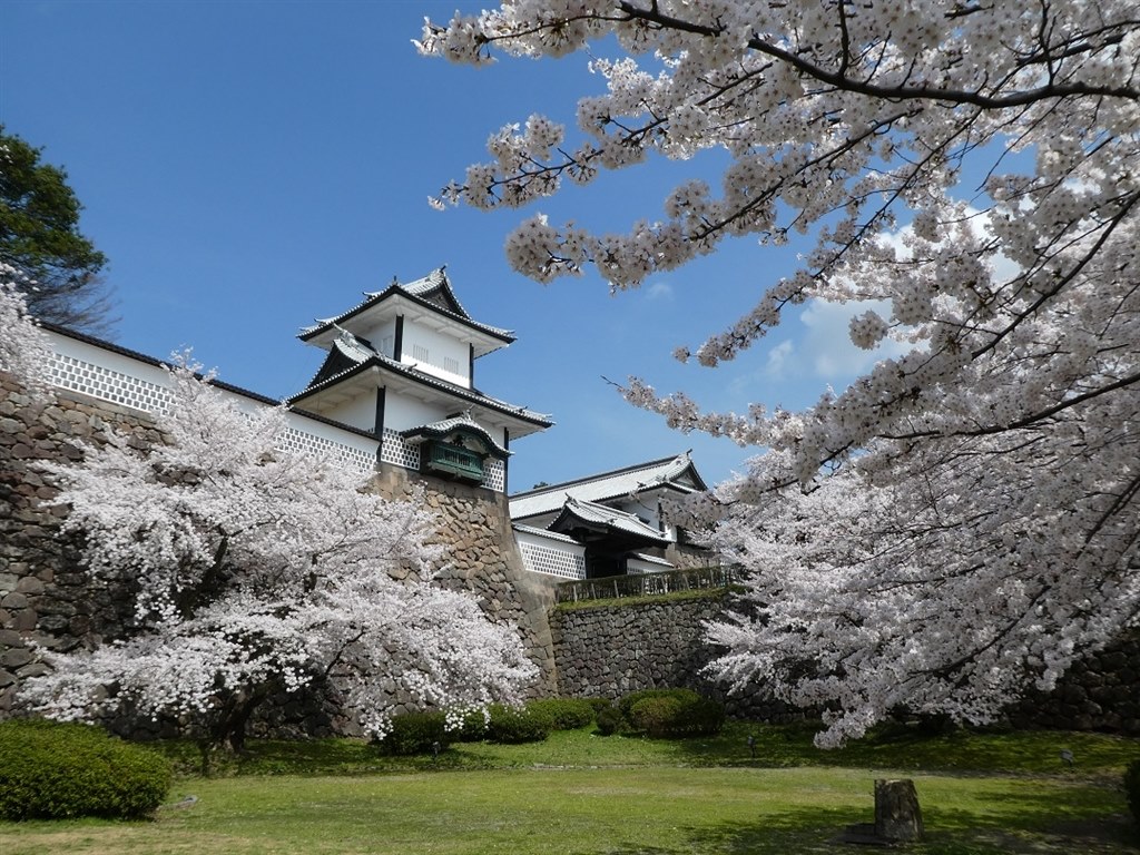 1/2.3型センサー搭載のカメラとしては高い完成度』 パナソニック LUMIX