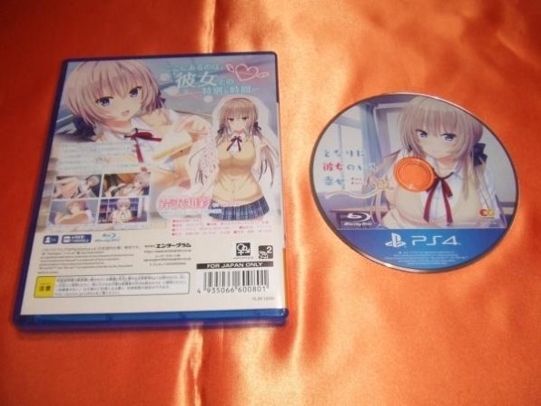 値下げ幸せのブーケ　著名風水師と新進気女流画家とのコラボレーション  F6 値下げ幸せのブーケ 著名風水師と新進気女流画家との
