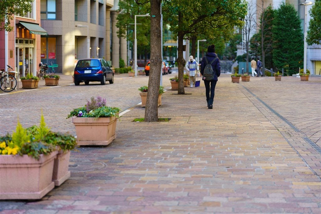 r3のスナップ用標準レンズはこれで決まりです コシナ フォクトレンダー Macro Apo Lanthar 65mm F2 Aspherical Mbdさんのレビュー評価 評判 価格 Com