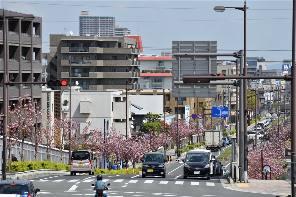 久しぶりのサードパーティレンズ』 TAMRON 70-210mm F/4 Di VC 久しぶりのサードパーティレンズ』 TAMRON 70-210mm F/4 Di VC