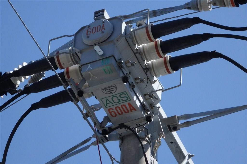 カメラ型アクセサリーとして、最高にかっこいい！！』 オリンパス