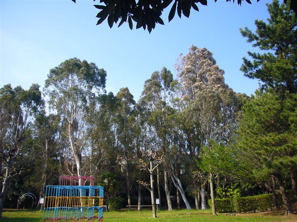 今までのデジカメラどうしようかな。』 パナソニック LUMIX DMC-FX01