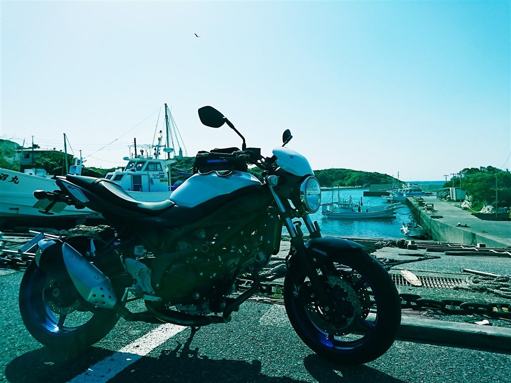 ミドルのVツインがお好みなら！』 スズキ SV650 独身華族さんの