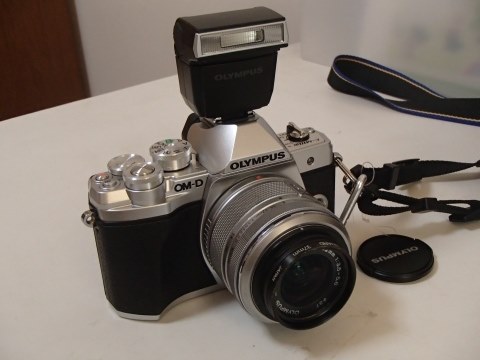 室内の子供撮りに。自由自在な首振りバウンスが嬉しい！』 オリンパス