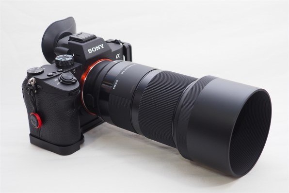 シグマ 70mm F2.8 DG MACRO [キヤノン用] レビュー評価・評判