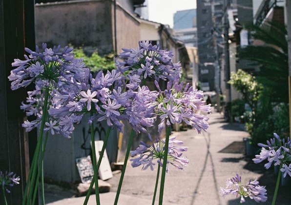 即納未開封　コシナ ULTRON 40mmF2 Aspherical SLIIS Cosina Voigtlander Ultron 40mm F/2 Aspherical SL | LENS-DB.COM