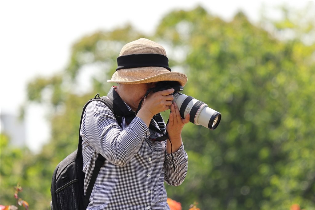 ⭐️美品⭐️ Nikon 18-200mm f3.5-5.6 G II ED VR Canon EF70-300mm F4-5.6 辛かっ IS USM 望遠レンズ