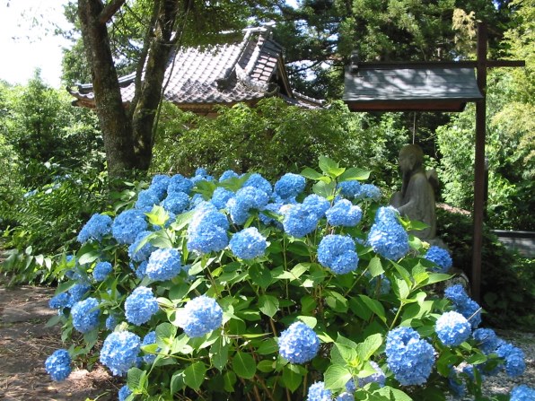 CANON PowerShot A200で撮影された写真 - 価格.com