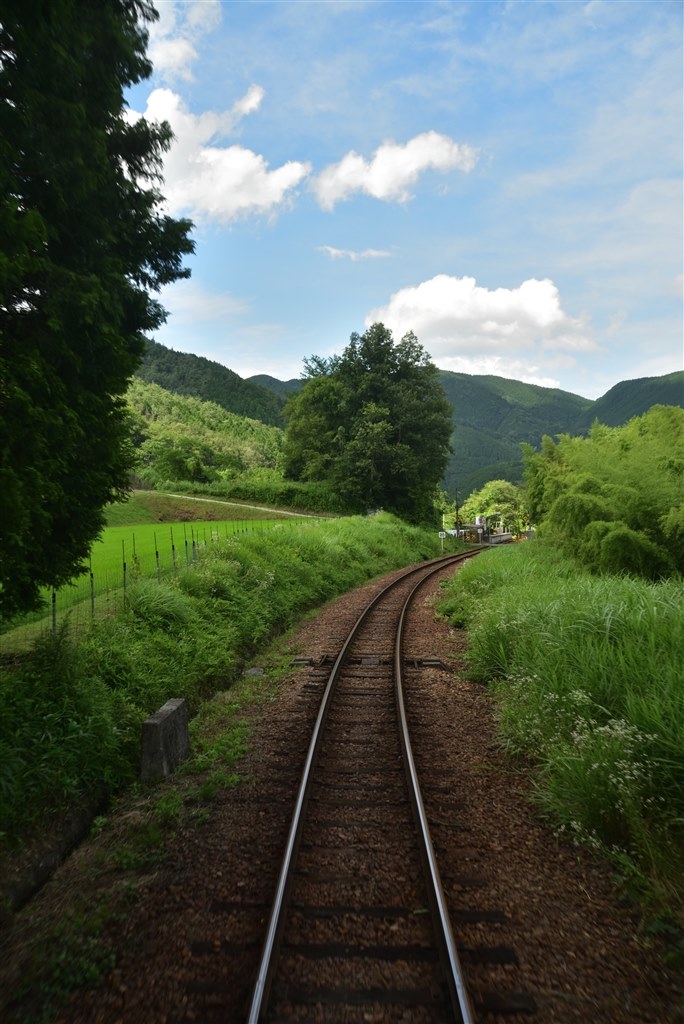 感動の高解像度 シグマ 24 105mm F4 Dg Os Hsm ニコン用 グレミーさんのレビュー評価 評判 価格 Com