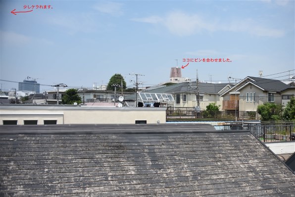 【作例あり】PC-E Micro NIKKOR 45mm f/2.8D ED 佐藤振一 × PC-E Micro NIKKOR 45mm f/2.8D ED | 私のNIKKOR