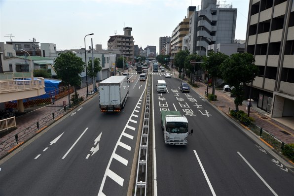 ニコン AI AF Zoom-Nikkor 24-85mm f/2.8-4D IF レビュー評価・評判