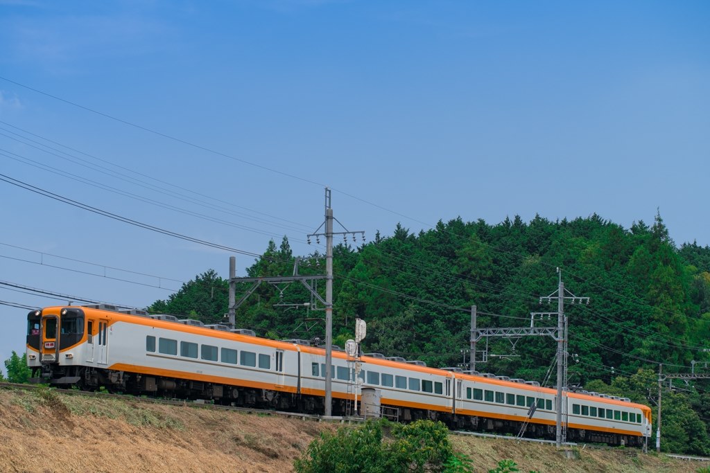 遠景は苦手かもしれない』 CANON EF100mm F2.8L マクロ IS USM papi