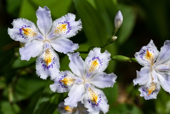 TAMRON SP 90mm F/2.8 Di MACRO 1：1 VC USD (Model F017