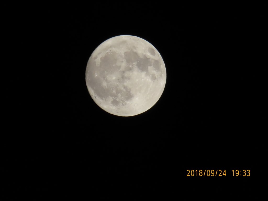 最短と最長に興味を惹かれ』 CANON PowerShot SX740 HS [シルバー