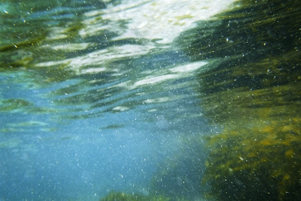 はじめての水中撮影に挑戦』 富士フイルム FinePix XP130