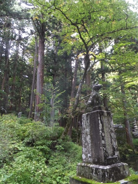 富士フイルム FinePix F900EXR投稿画像・動画 - 価格.com