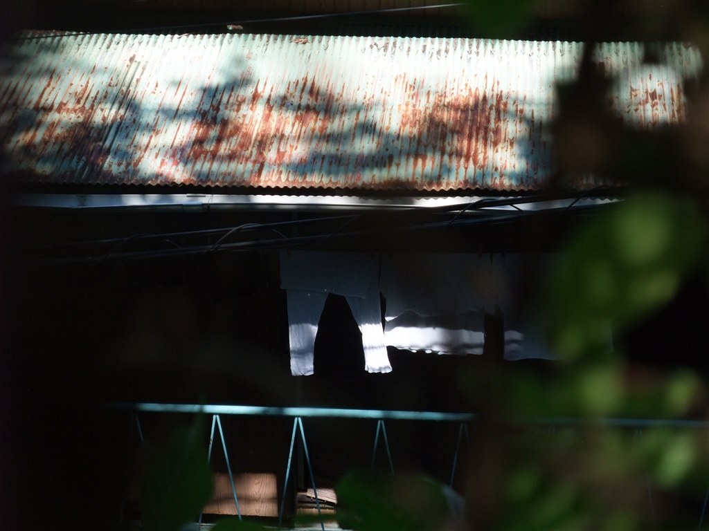 【美品✨】FUJIFILM FinePix F100fd コンデジ CCD 作例 美品✨】FUJIFILM FinePix F100fd コンデジ CCD 作例