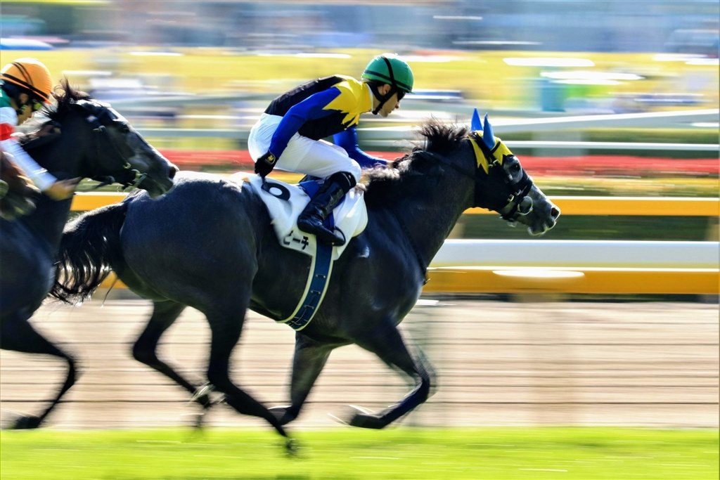 スポーツ写真が撮りたくて!』 CANON EOS 9000D ダブルズーム スポーツ写真が撮りたくて!』 CANON EOS 9000D ダブルズーム