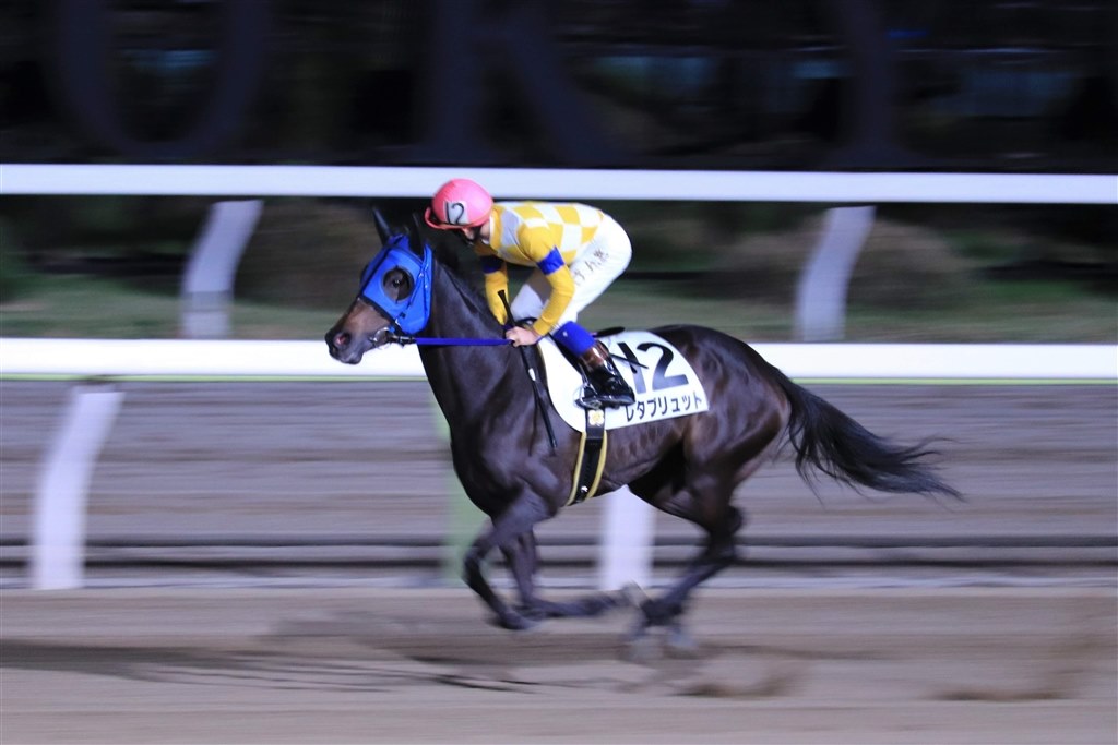 スポーツ写真が撮りたくて!』 CANON EOS 9000D ダブルズーム スポーツ写真が撮りたくて!』 CANON EOS 9000D ダブルズーム