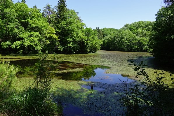 Sony サイバーショット Dsc Rx100m4 レビュー評価 評判 価格 Com