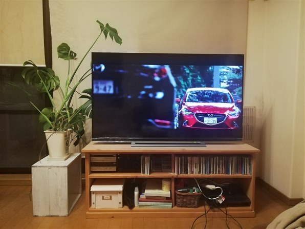 東芝 REGZA 50M520X [50インチ]投稿画像・動画 (レビュー) - 価格.com