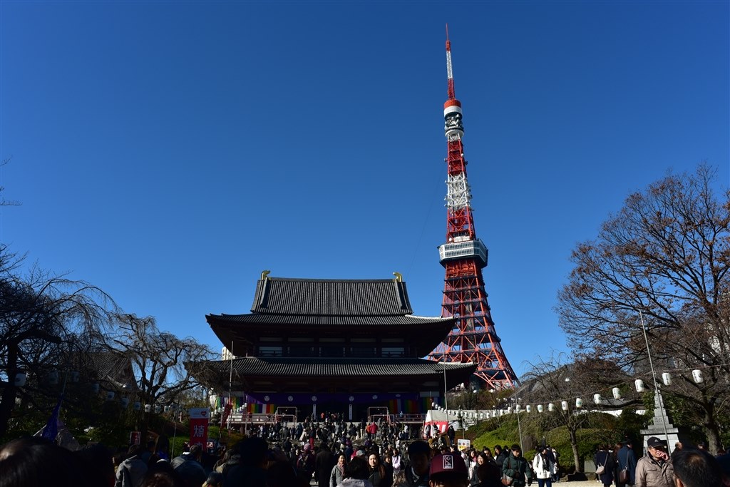 今日はFXで使用。思った以上に解像感高めです！小さく軽いレンズ
