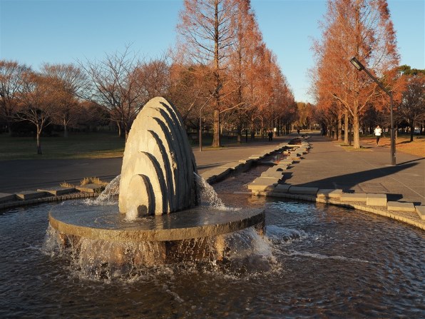 シグマ 16mm F1.4 DC DN [マイクロフォーサーズ用]で撮影された写真