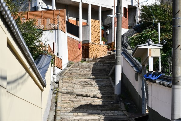 ニコン Af S Dx Nikkor 55 300mm F 4 5 5 6g Ed Vr レビュー評価 評判 価格 Com