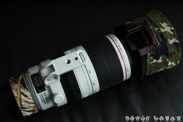 CANON EF100-400mm F4.5-5.6L IS II USM レビュー評価・評判 - 価格.com