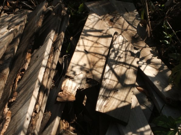 富士フイルム FinePix F440で撮影された写真 (レビュー) - 価格.com