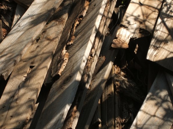 富士フイルム FinePix F440で撮影された写真 (レビュー) - 価格.com