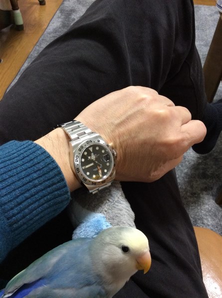 ロレックス エクスプローラー II 216570 [オイスターブレスレット