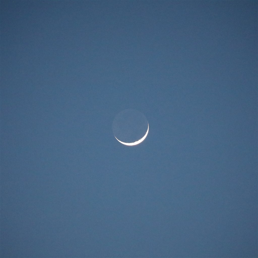 大満足です Canon Ef100 400mm F4 5 5 6l Is Ii Usm さすらいのジンさんのレビュー評価 評判 価格 Com