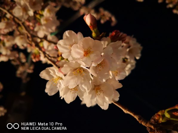 Huawei Huawei Mate 10 Pro レビュー評価 評判 価格 Com