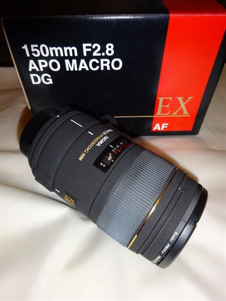 カメラ レンズ(単焦点) シグマ APO MACRO 150mm F2.8 EX DG HSM (ﾆｺﾝ AF) 価格比較 - 価格.com