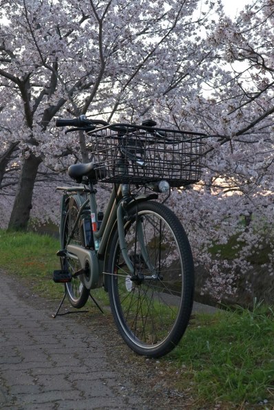 【K.Era_Kさん専用】 ティモ・S BE-ELST636 電動アシスト自転車 パナソニック ティモ・S BE-ELST634-K [ラセットオレンジ] + 専用充電