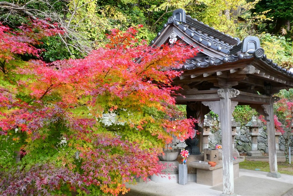 万能お散歩カメラ』 パナソニック LUMIX DC-TZ90-K [ブラック] めん