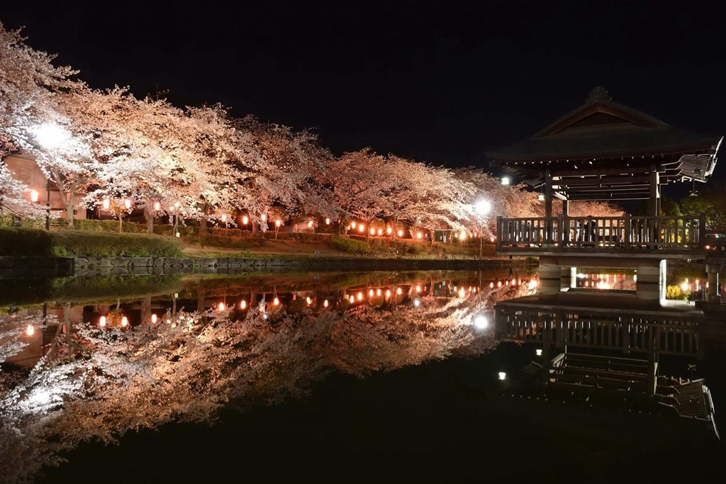 高画質 楽楽操作』 ニコン Nikon 1 J5 ダブルレンズキット [シルバー