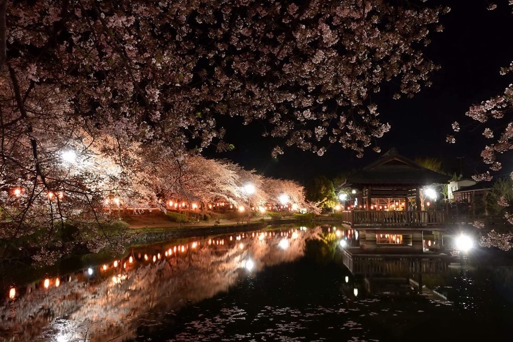 高画質 楽楽操作』 ニコン Nikon 1 J5 ダブルレンズキット [シルバー