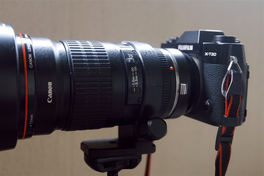 フルサイズ換算300mm F2.8は別世界でした！』 CANON EF200mm F2