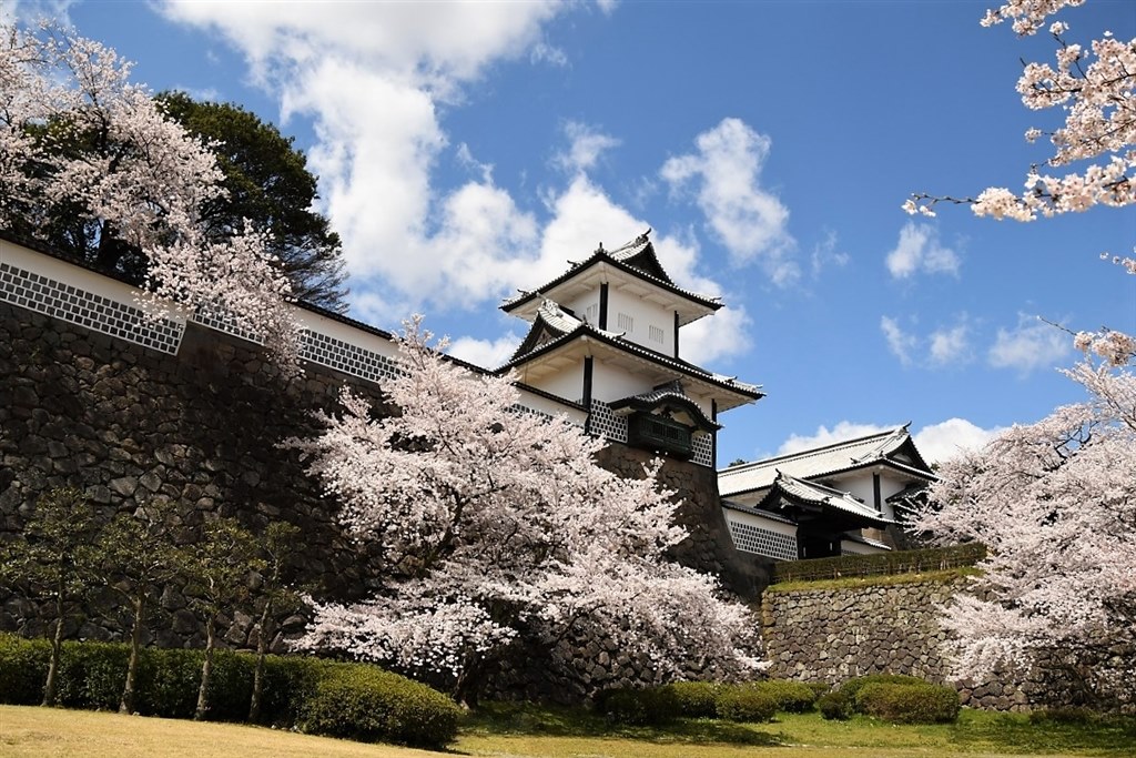 エントリーモデルのカメラより扱いやすい』 ニコン D7500 ボディ 上杉