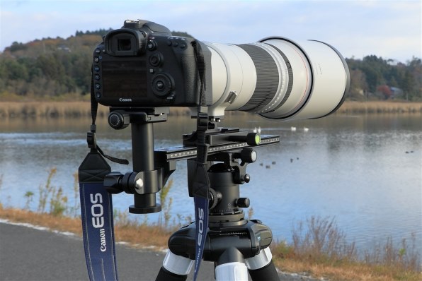 CANON EF500mm F4L IS II USM投稿画像・動画 (レビュー) - 価格.com