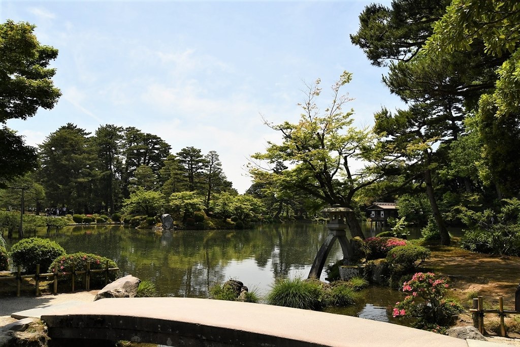 ❤即購入1000円OFF❤ニコン Nikon D7500 妥協しない本気の描写力 エントリーモデルのカメラより扱いやすい』 ニコン D7500 ボディ 上杉