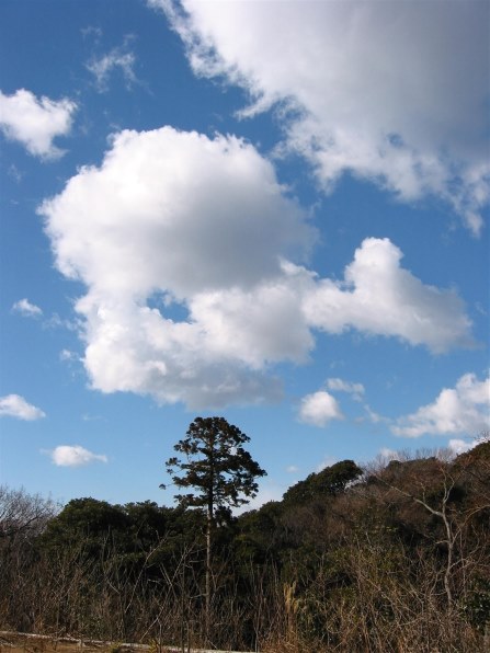 CANON PowerShot S40で撮影された写真 (レビュー) - 価格.com CANON PowerShot S40で撮影された写真 (レビュー) - 価格.com